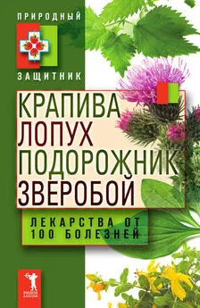 Ю. Николаева - Крапива, лопух, подорожник, зверобой. Лекарства от 100 болезней