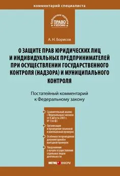 Александр Борисов - Комментарий к Федеральному закону от 26 декабря 2008 г. № 294-ФЗ «О защите прав юридических лиц и индивидуальных предпринимателей при осуществлении государственного контроля (надзора) и муниципального контроля» (постатейный)