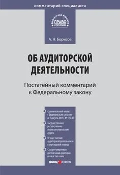 Александр Борисов - Комментарий к Федеральному закону от 30 декабря 2008 г. № 307-ФЗ «Об аудиторской деятельности» (постатейный)