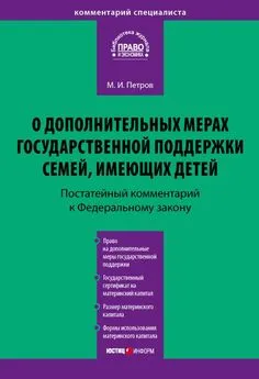 Михаил Петров - Комментарий к Федеральному закону от 29 декабря 2006 г. № 256-ФЗ «О дополнительных мерах государственной поддержки семей, имеющих детей» (постатейный)