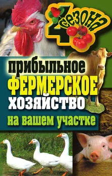 Сергей Кашин - Прибыльное фермерское хозяйство на вашем участке