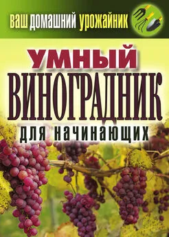 Екатерина Животовская - Умный виноградник для начинающих