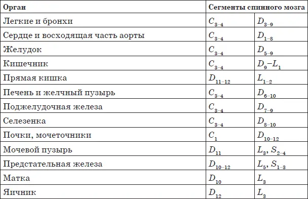 Примечание С шейные D грудные L поясничные S крестцовые - фото 5