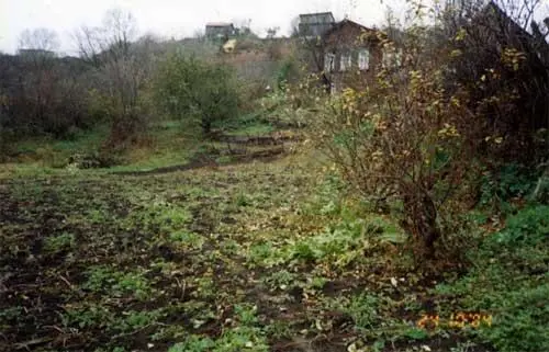 Первая глава Зимушказима Ванькины сны ДЕНЬ ПЕРВЫЙ Вдоль забора за - фото 1