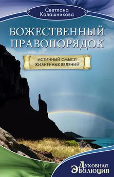 Светлана Калашникова - Божественный правопорядок. Истинный смысл жизненных явлений