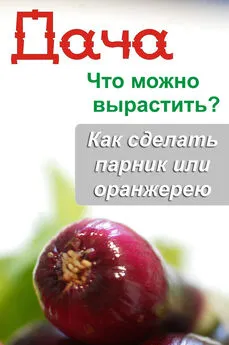 Илья Мельников - Что можно вырастить? Как сделать парник или оранжерею