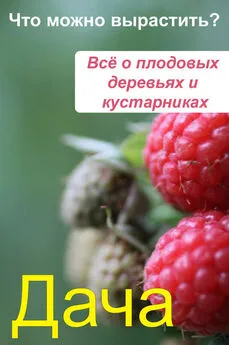 Илья Мельников - Что можно вырастить? Всё о плодовых деревьях и кустарниках