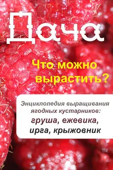 Илья Мельников - Что можно вырастить? Энциклопедия выращивания ягодных кустарников: груша, ежевика, ирга, крыжовник