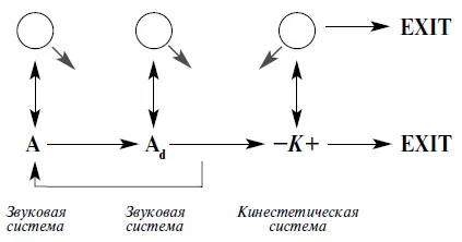 Человек сначала чтото услышал первый этап стратегии затем проговорил про - фото 19