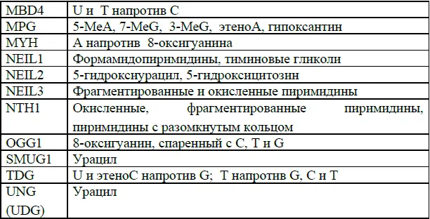 Сравнение данных структурного анализа и аминокислотных последовательностей - фото 8
