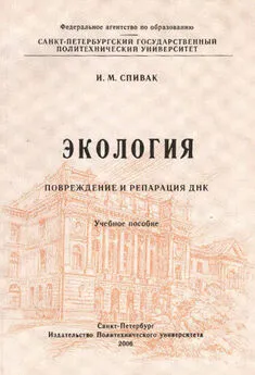 Ирина Спивак - Экология. Повреждение и репарация ДНК: учебное пособие