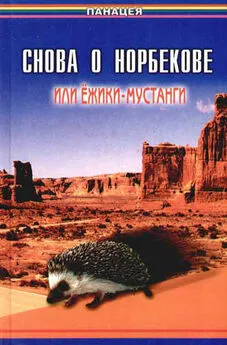 Борис Медведев - Снова о Норбекове, или Ёжики-мустанги