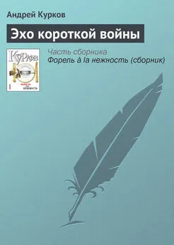 Андрей Курков - Эхо короткой войны