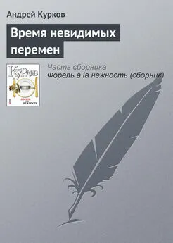 Андрей Курков - Время невидимых перемен