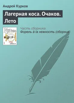 Андрей Курков - Лагерная коса. Очаков. Лето