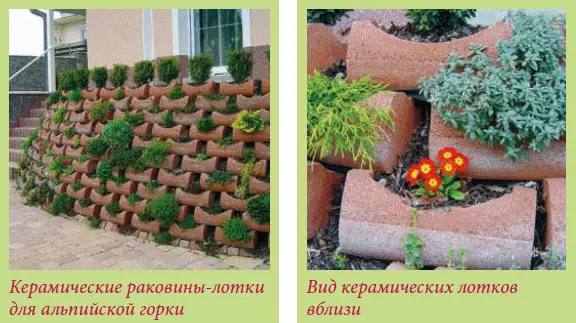 На изображенной на фото слева горке высажены маргаритки самшит седумы - фото 8