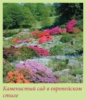 Над этим можно было бы иронизировать если бы не очевидный факт альпинарий - фото 10