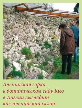 Правило номер один на горке должны расти не цветы а растения То есть даже - фото 13