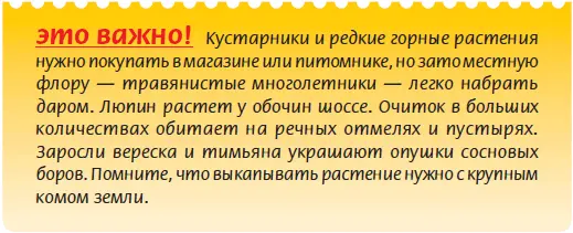 Альпийская горка из овощейКонструкция и наполнение посадочным материалом - фото 30