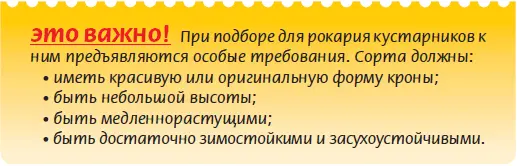 При выборе растений все их можно разделить на группы по отношению к - фото 42