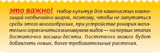 Вода Необязательная но важная составляющая композиции декоративный водоем - фото 50
