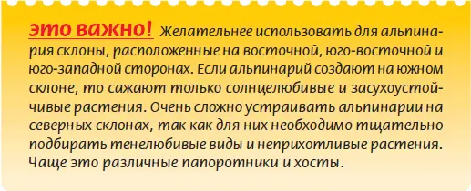 Грамотно сформировать альпинарий и правильно со вкусом разместить его в - фото 54