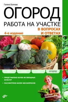 Галина Осипова - Огород. Работа на участке в вопросах и ответах