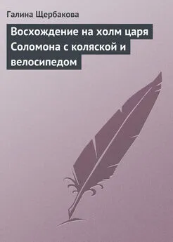 Галина Щербакова - Восхождение на холм царя Соломона с коляской и велосипедом