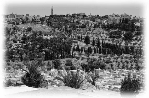 Вид со стен Иерусалима на Масличную гору и колокольню русской православной - фото 29