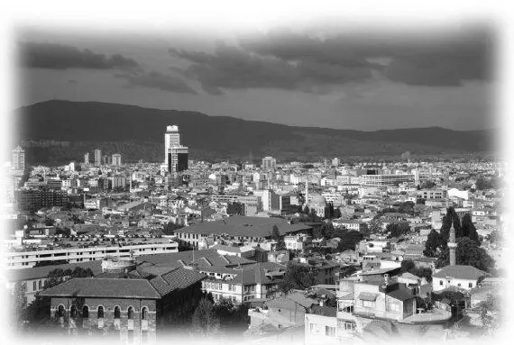 Современный вид на город Измир Смирна Когда он узнал что его ищут он - фото 39