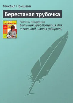 Михаил Пришвин - Берестяная трубочка