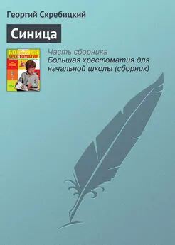 Георгий Скребицкий - Синица