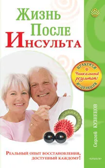 Сергей Кузнецов - Жизнь после инсульта. Реальный опыт восстановления после «удара», доступный каждому!