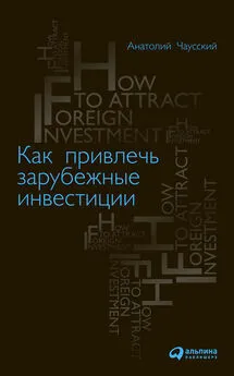 Анатолий Чаусский - Как привлечь зарубежные инвестиции