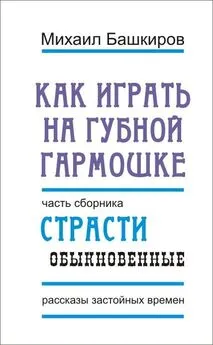 Михаил Башкиров - Как играть на губной гармошке