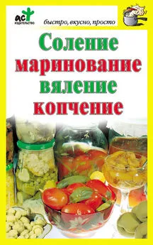 Дарья Костина - Соление, маринование, вяление, копчение