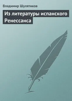 Владимир Шулятиков - Из литературы испанского Ренессанса