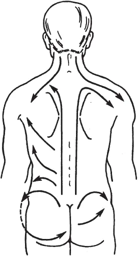 Рис 52 Направление основных массажных движений в области спины поясницы шеи - фото 61