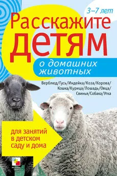 Э. Емельянова - Расскажите детям о домашних животных