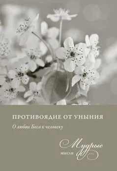 Владимир Лучанинов - Противоядие от уныния. О любви Бога к человеку. Мудрые мысли