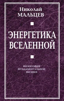 Николай Мальцев - Энергетика Вселенной. Философия фундаментальной физики