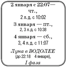 Что сделать Удалить лишние и ненужные комнатные растения начать приводить в - фото 4