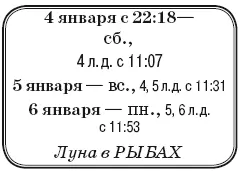 Что сделать Удалить лишние и ненужные комнатные растения начать приводить в - фото 5