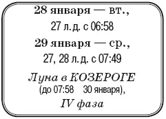 Что сделать Подкормить и полить всходы томатов до полного промокания земли в - фото 16