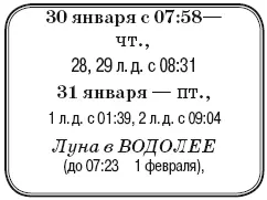 Что сделать Подкормить и полить всходы томатов до полного промокания земли в - фото 17