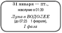 Что сделать Подкормить и полить всходы томатов до полного промокания земли в - фото 18