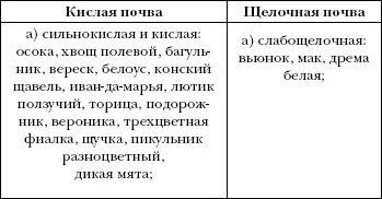 Показателем того что почва влажная являются буйно растущие хвощ полевой - фото 1