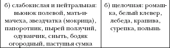 Показателем того что почва влажная являются буйно растущие хвощ полевой - фото 2