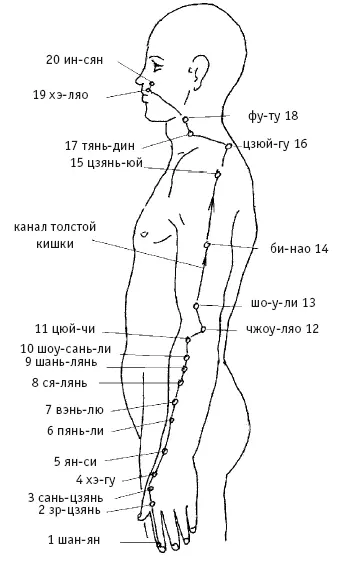 Рис 2 У лопатки канал толстого кишечника пересекается с каналом тонкого - фото 10