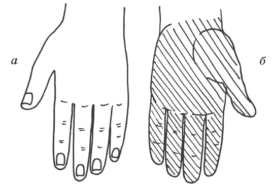 Рис 2 Инь и ян поверхности кистей и стоп а тыльная поверхность кисти б - фото 9
